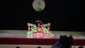 国产开放舞在线视频,展现民族风采，引领潮流风尚